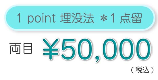 1Point埋没法 １点留 両目 ¥19,800（税込）
