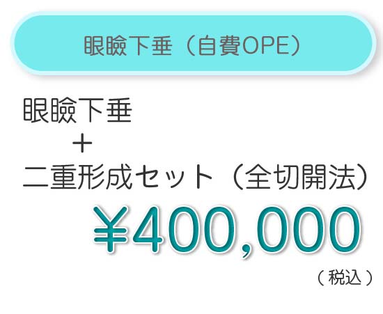 眼瞼下垂（自費OPE）開眼1年保証　眼瞼下垂＋二重形成セット（全切開法）¥400,000